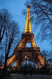 Eiffeltårnet, trær, grener, kveld, belyst, lys, skumring, solnedgang, paris, Frankrike, landemerke, arkitektur, berømt, monument, symbol, bybildet, metall, tårn, bare tre, tre, bygget struktur, historie, himmel, fortiden, høy - høy, reisemål, lav vinkel visning, by, natur, turisme, reise, bygge eksteriør, tilfeldige mennesker, utendørs, jern - metall, 1080P, CC0, offentlig domene, opphavsrett gratis