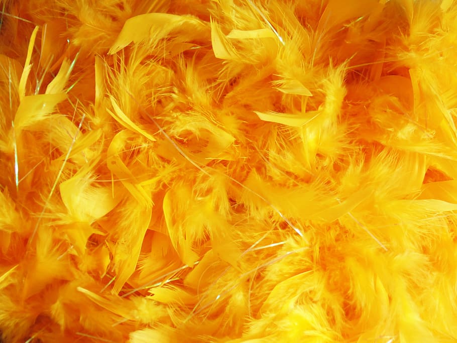 taronja, groc, lot de plomes, plomes, imatge de fons, textura, tenyit, color, fons, brillant, primer pla, boa, macro, pooh, bolígraf, ocell, glamour, calor - temperatura, marc complet, cremant, foc - fenomen natural, foc, flama, color taronja, cap gent, naturalesa, moviment, menjar i beguda, a l'interior, menjar italià, vermell, resum, exposició llarga, 4K