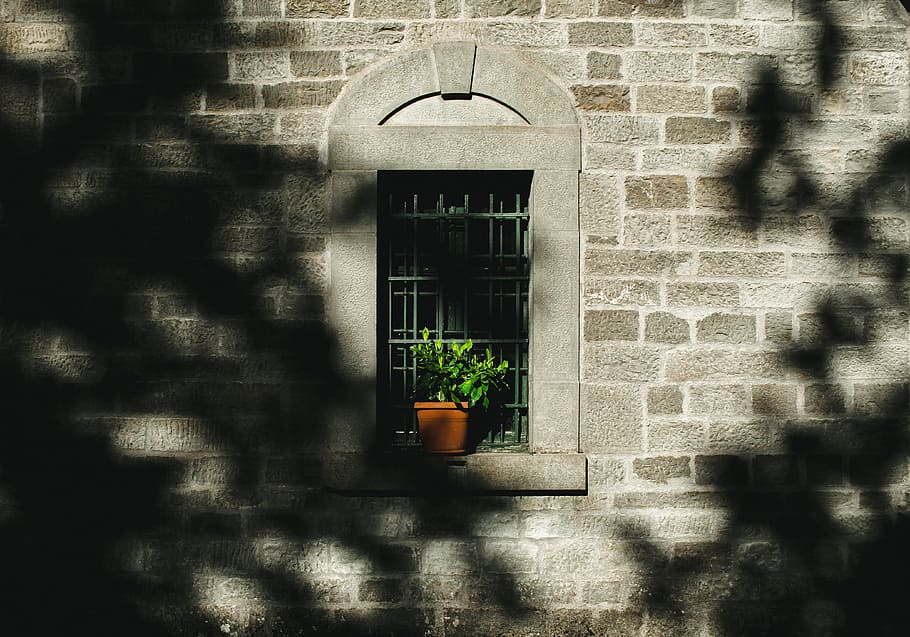 testat, verd, planta de fulla, finestra, planta, endins, ombra, olla, ampit de la finestra, paret, edifici, exterior, pedra, paret de maó, carrer, urbà, victoriana, tradicional, arbre, olor, calma, tranquil, camp, estructura construïda, arquitectura, exterior de l'edifici, funció de construcció de parets, dia, llum solar, maó, cap gent, naturalesa, planta en test, arc, porta, a l'aire lliure, entrada, llum elèctrica, centrar-se en l'ombra, 4K