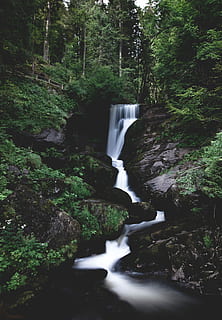 fotografia time lapse, fiume, boschi, cascate, cascata, roccia, albero, foresta, bosco, lunga esposizione, natura, all'aperto, ritratto, cascata alta, foresta Nera, Germania, estate, Parco Nazionale, liscio, acqua, scenics - natura, acqua corrente, pianta, bellezza nella natura, terra, nessuno, movimento, fluente, movimento sfocato, crescita, solido, ambiente, foresta pluviale, flusso - acqua che scorre, potere in natura, acqua che cade, 5K, CC0, dominio pubblico, privo di copyright