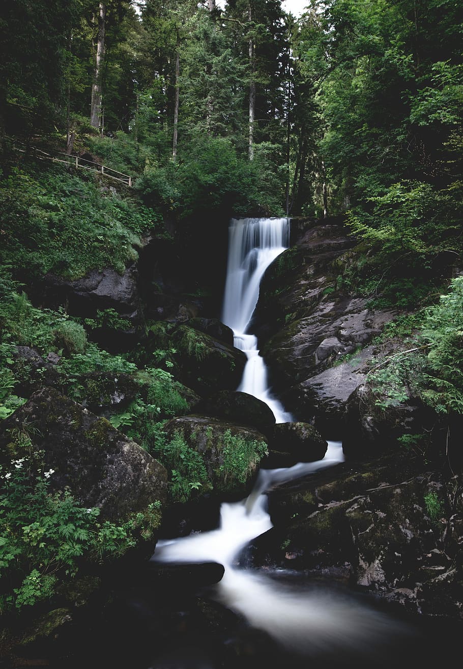 fotografia time lapse, fiume, boschi, cascate, cascata, roccia, albero, foresta, bosco, lunga esposizione, natura, all'aperto, ritratto, cascata alta, foresta Nera, Germania, estate, Parco Nazionale, liscio, acqua, scenics - natura, acqua corrente, pianta, bellezza nella natura, terra, nessuno, movimento, fluente, movimento sfocato, crescita, solido, ambiente, foresta pluviale, flusso - acqua che scorre, potere in natura, acqua che cade, 5K