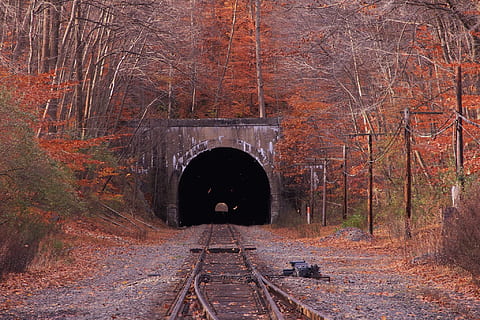 vlaku, obklopen, oranžový, zelená, listoval, stromy, vlak, tunel, podzim, trikot, přeprava, železnice, dráha, starý, cestovat, Příroda, oblouk, doprava, most, světlo, les, architektura, nebezpečí, lokomotiva, ocel, silnice, náklad, otevírací, venkovský, motor, řádek, vinobraní, krajina, způsob, kolejnice, strom, Rychlost, stanice, antický, Černá, rostlina, nikdo, cesta vpřed, železniční trať, most - mužská konstrukce, železniční dopravy, den, přistát, směr, spojení, stavba, změna, venku, obloukový most, 1080P