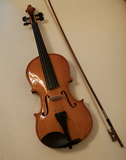 brun, fiol, rosett, fiol stråke, båge, sträng, trä-, sträng, ny, instrument, musikalisk, musik, musik instrument, klassisk musik, konstkultur och underhållning, inget folk, stränginstrument, musikalisk utrustning, inomhus, musikinstrumentsträng, fortfarande liv, trämaterial, högvinkelvy, närbild, väggbyggande funktion, vit bakgrund, båge - musikalisk utrustning, studio skott, tabell, 4K, CC0, offentligt domän, royaltyfria