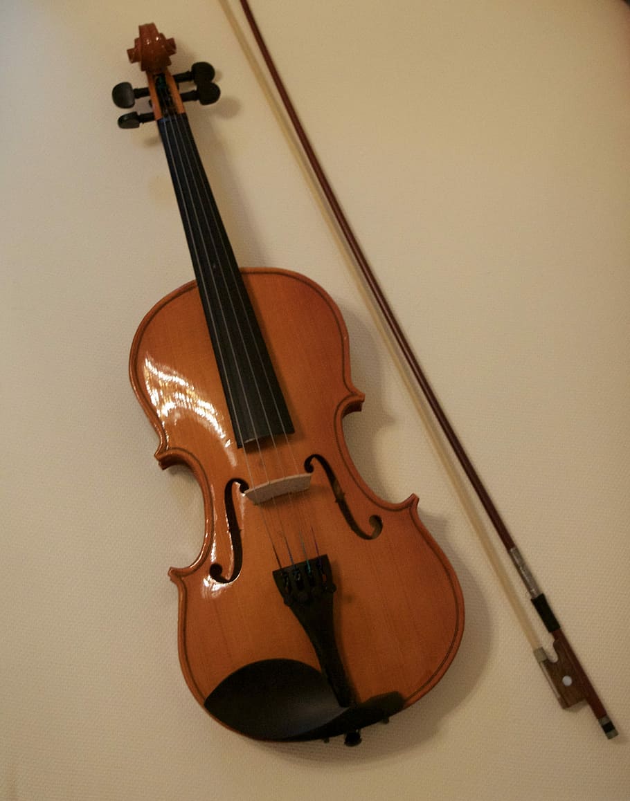 braun, Geige, Bogen, Geigenbogen, Bogen, Schnur, hölzern, Zeichenfolge, Neu, Instrument, Musical, Musik-, Musikinstrument, klassische Musik, Kunst, Kultur und Unterhaltung, keine Leute, Saiteninstrument, Musikausrüstung, drinnen, Musikinstrumentensaite, Stillleben, Holz - Material, High Angle View, Nahansicht, Wandbau - Funktion, weißer Hintergrund, Bogenmusikausrüstung, Studioaufnahme, Tabelle, 4K