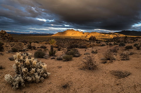 fotografía de paisaje, Desierto, nubes de nimbo, puesta de sol, paisaje, arboles, cielo, nubes, oscuridad, crepúsculo, noche, al aire libre, vistoso, natural, seco, cerros, montañas, parque nacional joshua tree, California, Estados Unidos, scenics, nube - cielo, naturaleza, planta, nadie, montaña, día, ambiente, paisajes - naturaleza, belleza en la naturaleza, destinos de viaje, tierra, Semi árido, cordillera, tranquilidad, remoto, escena no urbana, árbol, clima árido, clima, 1080P, CC0, dominio público, libre de derechos