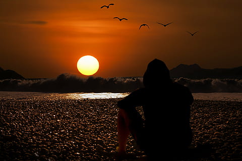 solnedgang foto, solnedgang, aftenhimmel, strand, baggrund, desktop baggrund, efterglød, Abendstimmung, hav, romantisk, natur, himmel, kyst, skumring, atmosfærisk, rød, ferie, korsika, måge, bølge, vand, længes efter, sol, humør, glød, aften, lyse, aften sol, farve, baglygte, romantik, silhuet, sommer, middelhavet, Frankrig, horisont, smuk strand, landskab, slap af, udsigt, rejselyst, bagfra, en person, kun en kvinde, kun voksne, kun kvinder, voksen, mennesker, fugl, orange farve, dyr, sidder, dyre temaer, rigtige mennesker, skønhed i naturen, hvirveldyr, fritidsaktivitet, dyreliv, gruppe af dyr, udendørs, rullesten, 5K, CC0, offentligt domæne, royaltyfrie