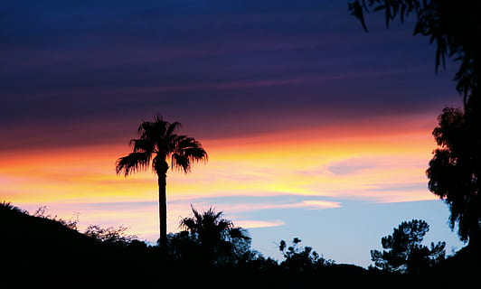 hemel, zonsondergang, palmboom, landschap, palm, boom, zomer, natuur, woestijn, zon, horizon, silhouet, wolk - lucht, fabriek, schoonheid in de natuur, scenics - natuur, rustige scène, kalmte, Oranje kleur, dramatische hemel, tropisch klimaat, groei, idyllisch, geen mensen, lage hoekweergave, buitenshuis, kokosnoot palmboom, romantische hemel, tropische boom, 2K, CC0, publiek domein, royaltyvrij