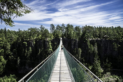 stående, lang, eagle canyon, mennesker, ørn, canyon, Ontario, bro, Canada, skyer, Skov, fotos, offentligt domæne, himmel, natur, hængebro, udendørs, træ, bro - menneskeskabt struktur, rejse, landskab, eventyr, scenics, reb, sky - himmel, lige, plante, retning, vejen frem, vækst, forbindelse, dag, bygget struktur, faldende perspektiv, jord, grøn farve, arkitektur, ikke-urbane scene, scenics - natur, ingen mennesker, gangbro, 5K, CC0, offentligt domæne, royaltyfrie