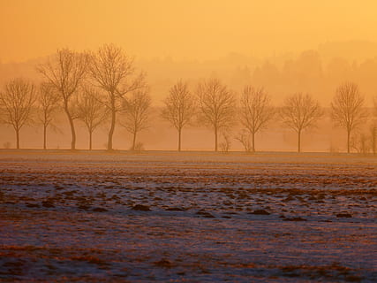 foto, nua, arbres, temporada de tempestes, hivern, posta de sol, llum de fons, nebulós, neu, fred, nevat, naturalesa, abendstimmung, sol, resplendor, daurat, llum, paisatge, coberta de neu, humor, humor d'hivern, llum solar, arbre, cel, tranquil·litat, medi ambient, escena tranquil·la, escenics - natura, bellesa a la natura, planta, arbre nu, temperatura de fred, boira, cap gent, terra, color taronja, a l'aire lliure, clima, 4K, CC0, domini públic, lliure de regalies