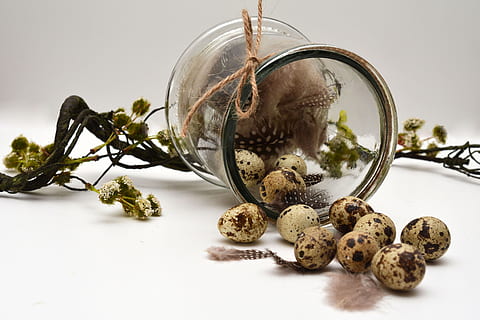 clar, gerro de vidre, ous de guatlla, ou, decoració de pasqua, Pasqua, Feliç Pasqua, vidre, ploma, branca, malestar, evacuat, decoració, personalitzat, salutacions de pasqua, celebració de Pasqua, menjar, a l'interior, menjar i beguda, fons blanc, cap gent, primer pla, vidre - material, natura morta, tir de l'estudi, planta, taula, alimentació saludable, naturalesa, benestar, arbre, contenidor, frescor, jar, esfera, 4K, CC0, domini públic, lliure de regalies