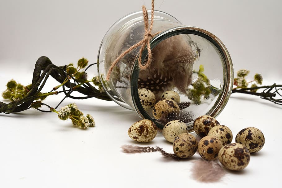clar, gerro de vidre, ous de guatlla, ou, decoració de pasqua, Pasqua, Feliç Pasqua, vidre, ploma, branca, malestar, evacuat, decoració, personalitzat, salutacions de pasqua, celebració de Pasqua, menjar, a l'interior, menjar i beguda, fons blanc, cap gent, primer pla, vidre - material, natura morta, tir de l'estudi, planta, taula, alimentació saludable, naturalesa, benestar, arbre, contenidor, frescor, jar, esfera, 4K