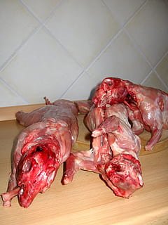 carnes crudas, liebre, Conejo, nager, Pascua de Resurrección, comer, conejo de Pascua, batallas, Carnicero, carne, freír, sangre, muerte, asqueroso, adentro, frescura, comida, comida y bebida, alimentos crudos, naturaleza muerta, vista de alto ángulo, nadie, de cerca, piso, mesa, rojo, animal, carne roja, preparación, mamífero, azulejo, temas de animales, suelo de baldosas, 1080P, CC0, dominio público, libre de derechos