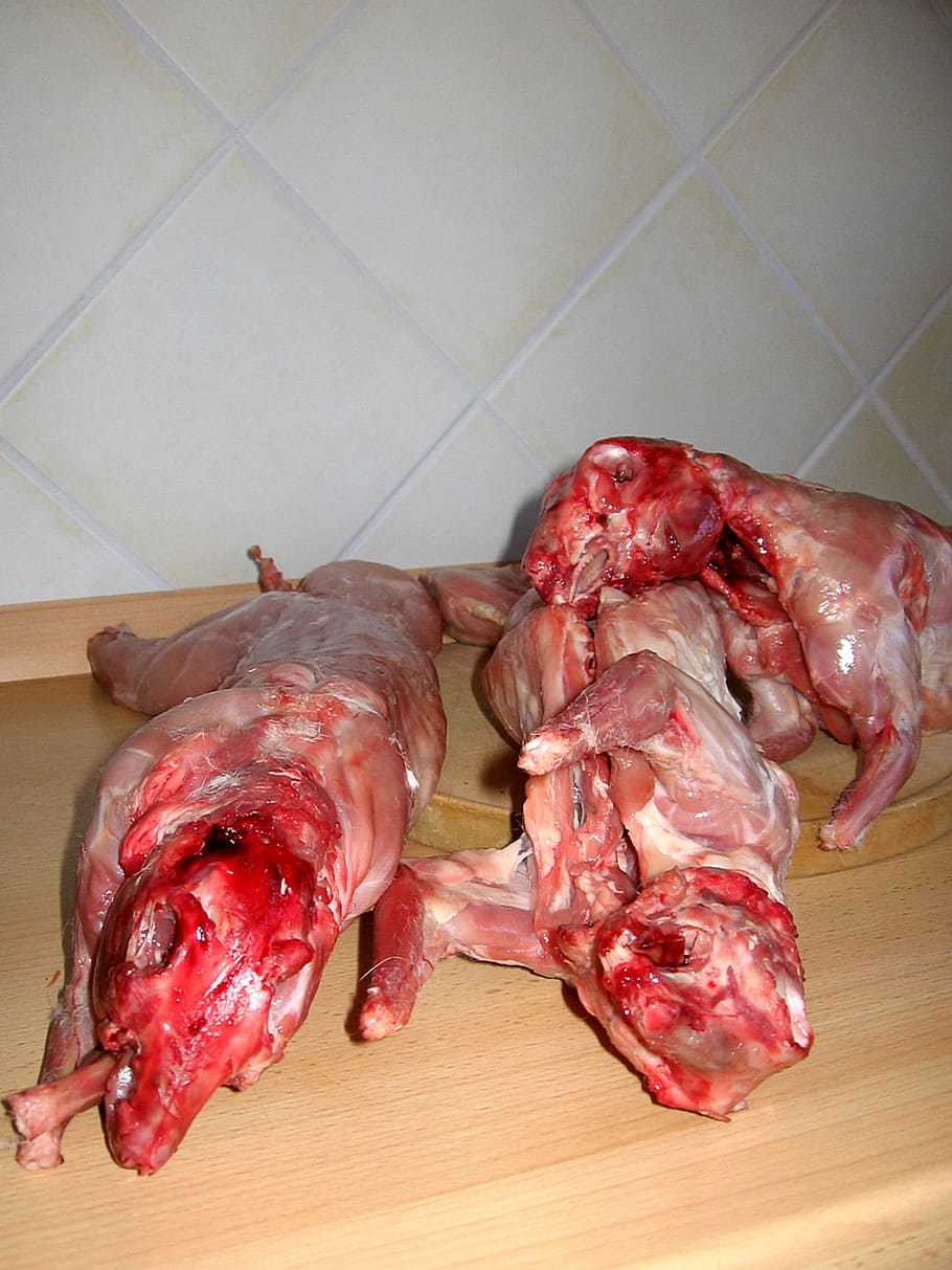 carns crues, llebre, conill, nager, Pasqua, menjar, conill de Pasqua, batalles, carnisser, carn, fregir, sang, mort, repugnant, a l'interior, frescor, menjar i beguda, aliments crus, natura morta, vista d’angle alt, cap gent, primer pla, sòls, taula, vermell, animal, carn vermella, preparació, mamífer, rajola, temes d'animals, sòl de rajoles, 1080P