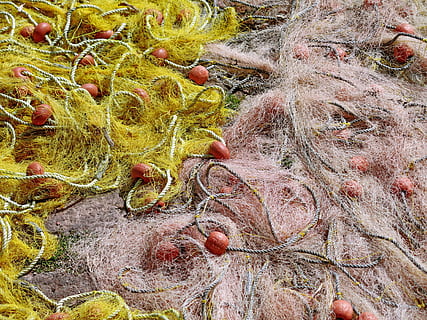 visnetten, verwarde, visnet, visvangst, netten, uitrusting, haven, gaas, touw, maas, floater, vlotter, boei, fabriek, blad, geen mensen, detailopname, volledig kader, natuur, land-, dag, deel van de plant, achtergronden, boom, wortel, groei, veld-, hoge hoekmening, buitenshuis, Bos, droog, schoonheid in de natuur, ingewikkeldheid, voedsel, rommelig, bladeren, 4K, CC0, publiek domein, royaltyvrij
