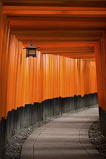 pathway, surrounded, bay, orange, post, lantern, architecture, building, infrastructure, structure, establishment, orange color, built structure, no people, place of worship, religion, direction, shrine, the way forward, spirituality, in a row, belief, footpath, transportation, nature, day, outdoors, architectural column, 5K, CC0, public domain, royalty free