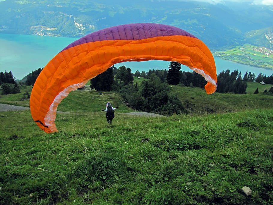 padák, běh, Start, začíná, paragliding, extrémní sporty, sport, parašutismu, létající, venku, Příroda, nebe, dobrodružství, klouzání, seskoky, aktivita, akce, svoboda, lidé, rostlina, zelená barva, tráva, pole, životní prostředí, přistát, den, krása v přírodě, krajina, růst, strom, scenics - příroda, hora, mimoměstské scény, klid, nikdo, oranžová barva, 4K
