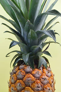 Foto geschlossen, Ananasfrucht, Ananas, Dessert, Vorspeise, Obst, Saft, Ernte, keine Leute, tropisches Klima, Blatt, Essen und Trinken, Lebensmittel, Palme, Schönheit, Nahansicht, gesundes Essen, Wachstum, Tropische Frucht, Wohlbefinden, grüne Farbe, Pflanze, Natur, Pflanzenteil, Frische, drinnen, Schönheit in der Natur, Tag, 5K, CC0, gemeinfrei, lizenzfrei