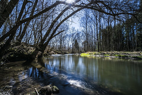 natură, peisaj, nori, cer, dispozitie, verde, Germania, vară, vedere, pădure, copaci, drumeții, panoramă, parc, frunze, rezervație naturală, te grabesti, lumina soarelui, mușchi, bavaria, apă, bach, acosta, râu, romantic, Amper, larg, copac, plantă, liniște, frumusețe în natură, scenice - natura, nici o persoana, o scenă liniștită, scenă non-urbană, teren, zi, reflecţie, malul mării, arbore gol, în aer liber, apă curgătoare, curgere, 5K, CC0, domeniu public, fără drepturi de autor