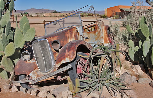 Namibia, Old Car, Cactus, Rust, old, abandoned, color Image, rusty, no People, destruction, outdoors, day, nature, transportation, metal, mode of transportation, obsolete, plant, damaged, land vehicle, motor vehicle, bad condition, run-down, deterioration, car, decline, architecture, ruined, junkyard, 2K, CC0, public domain, royalty free