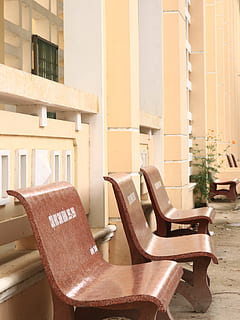 banco, asiento, silla, arquitectura, estructura construida, vacío, ausencia, nadie, exterior del edificio, día, edificio, luz del sol, naturaleza, mueble, al aire libre, mesa, material de madera, en una fila, relajación, pared - característica de la construcción, Sillón, 4K, CC0, dominio público, libre de derechos