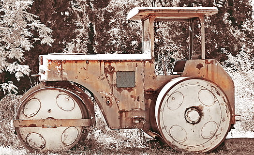 trattore marrone vuoto, rotolo, macchina da costruzione, rullo compressore, vecchio, marcisce, decadimento, rotto, intemperie, pensionato, decaduto, obsoleto, spento, scartato, relitto, rotolo marcio, rullo in disuso, spegnimento, malaticcio, inossidabile, arrugginito, metallo, ferro, spoglio, nessuno, albero, macchinario, giorno, natura, pianta, mezzi di trasporto, terra, abbandonato, legno - materiale, all'aperto, modo di trasporto, parte della macchina, inverno, la neve, campo, 4K, CC0, dominio pubblico, privo di copyright