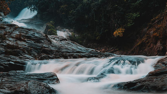 sentire l'acqua, fotografia, fiume, albero, cascata, roccia, scogliera, acqua, lunga esposizione, bellezza nella natura, scenics - natura, movimento, roccia - oggetto, acqua corrente, solido, foresta, movimento sfocato, terra, natura, nessuno, fluente, pianta, all'aperto, potere in natura, flusso - acqua che scorre, acqua che cade, foresta pluviale, 5K, CC0, dominio pubblico, privo di copyright