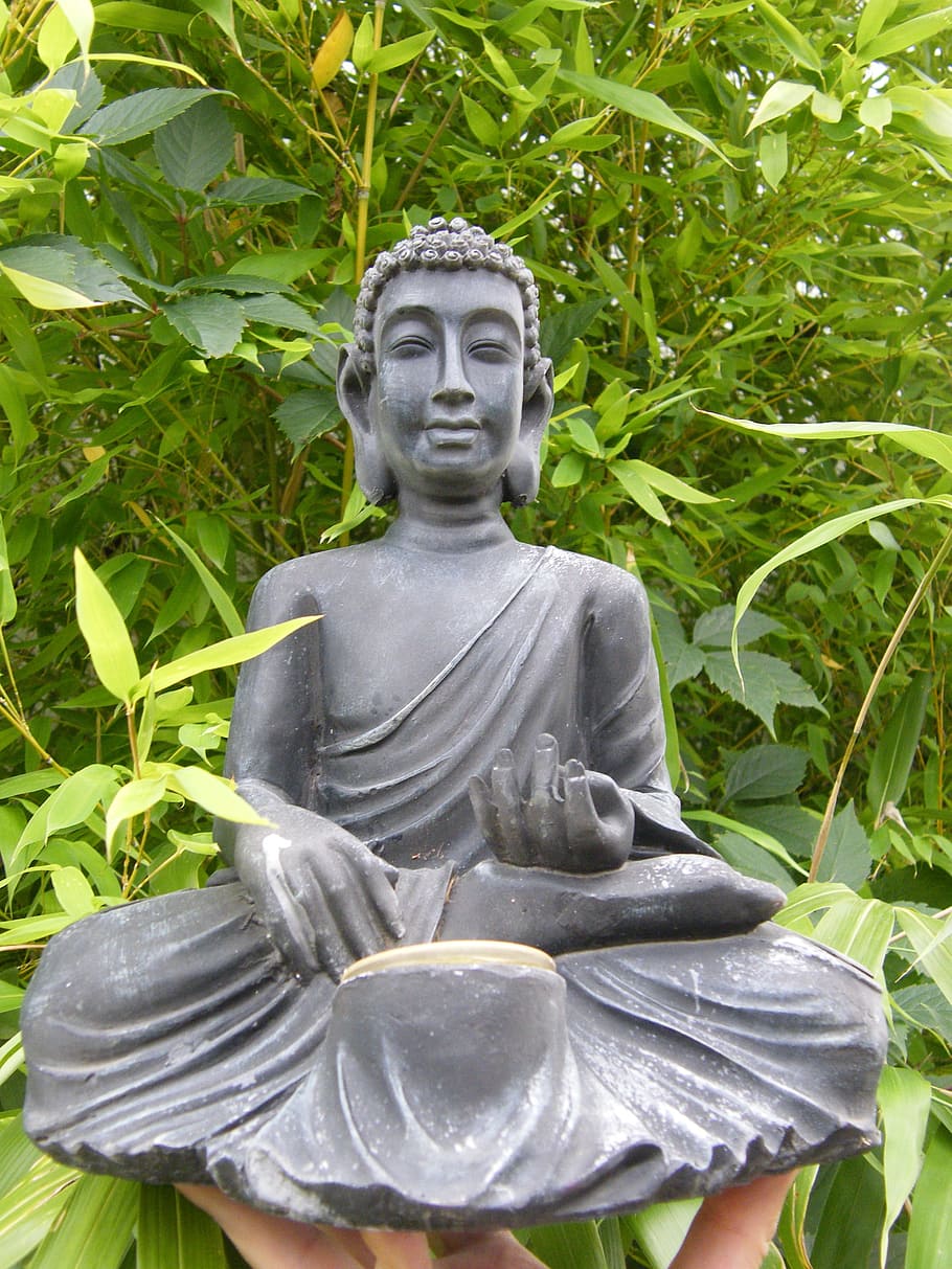 gautama buddha figurine, buddha, bambus, sidde, statue, skulptur, ingen mennesker, dag, udendørs, tæt på, menneskelig repræsentation, Kunst og håndværk, repræsentation, mandlig lighed, plante, kreativitet, religion, spiritualitet, tro, håndværk, natur, plante del, vækst, kvindelig lighed, blad, Engel, 2K