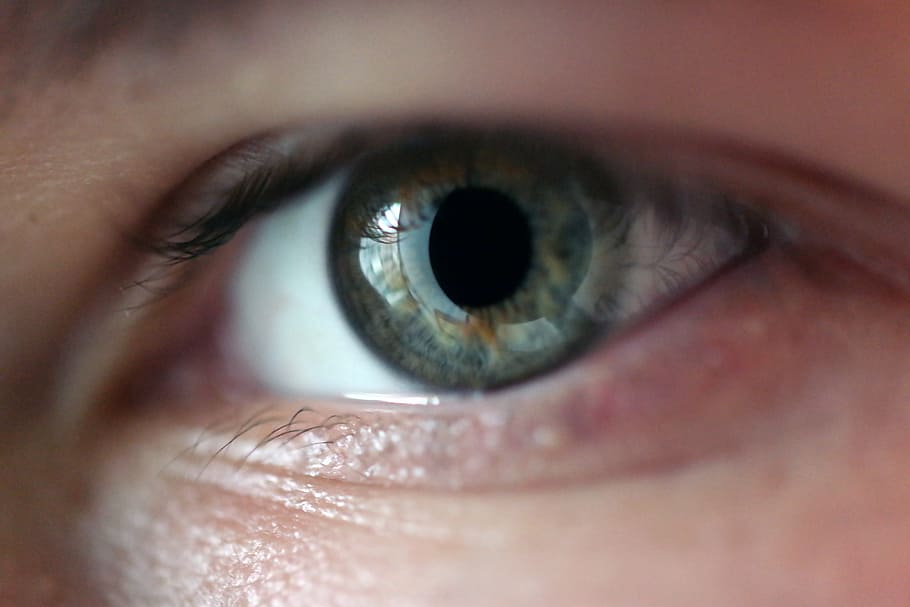 ull de la persona, ull, macro, iris, pell, pestanya, alumne, ull humà, vista, percepció sensorial, part del cos, part del cos humà, primer pla extrem, primer pla, una persona, iris - ull, adult, globus ocular, adult jove, mirant, rostre humà, mirant la càmera, retrat, dona guapa, cella, 5K