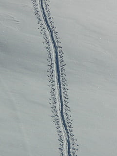 Spur, Winter, Schnee, tiefer Schnee, Pulverschnee, Tierspur, winterlich, Landschaft, schneebedeckt, kalte Temperatur, Tag, Schispur, High Angle View, keine Leute, Natur, weiße Farbe, Schönheit in der Natur, Land, Berg, Abdeckung, Feld, Ruhe, draußen, Szenen - Natur, Nicht-städtische Szene, ruhige Szene, schneebedeckter Berg, 2K, CC0, gemeinfrei, lizenzfrei