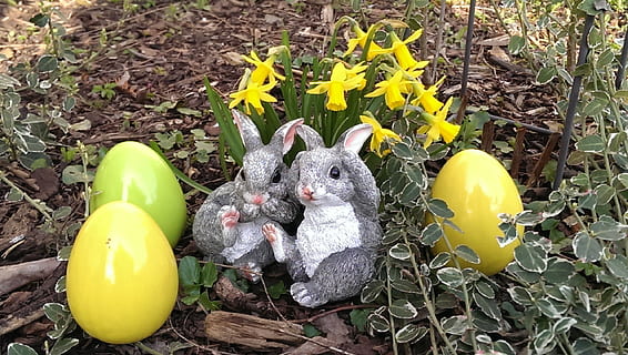 påske, kanin, æg, blomster, Påske hare, figur, forår, gul, plante, blomst, natur, ingen mennesker, blomstrende plante, dyr repræsentation, dyr, repræsentation, legetøj, dyre temaer, dag, påskeæg, høj vinkel visning, fest, tæt på, ferie, ungt dyr, udendørs, blomsterhoved, 2K, CC0, offentligt domæne, royaltyfrie