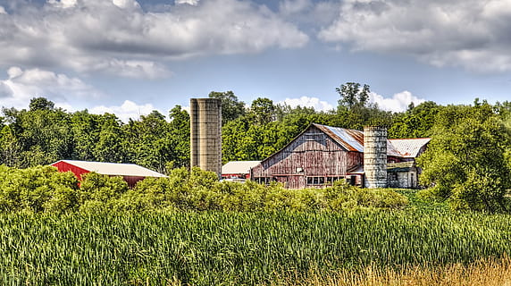 lade, rustik, staldene, ohio, digital kunst, landdistrikterne, naturskøn, Land, landskabet, landskab, skur, skure, gård, gårde, landbrug, landbrugs, stuehus, Champaign, region, americana, Foto, fotografi, struktur, strukturer, sturgell, william sturgell, bill sturgell, historisk, hjem indretning, bygninger, skyer, himmel, træ, træer, overskyet, ukrudt, champaign county, Urbana, arkitektur, bygget struktur, bygning udvendig, plante, bygning, sky - himmel, græs, hus, Mark, jord, grøn farve, natur, boligområde, landlige scene, dag, ingen mennesker, vækst, udendørs, 5K, CC0, offentligt domæne, royaltyfrie
