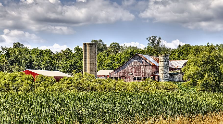 lade, rustik, staldene, ohio, digital kunst, landdistrikterne, naturskøn, Land, landskabet, landskab, skur, skure, gård, gårde, landbrug, landbrugs, stuehus, Champaign, region, americana, Foto, fotografi, struktur, strukturer, sturgell, william sturgell, bill sturgell, historisk, hjem indretning, bygninger, skyer, himmel, træ, træer, overskyet, ukrudt, champaign county, Urbana, arkitektur, bygget struktur, bygning udvendig, plante, bygning, sky - himmel, græs, hus, Mark, jord, grøn farve, natur, boligområde, landlige scene, dag, ingen mennesker, vækst, udendørs, 5K