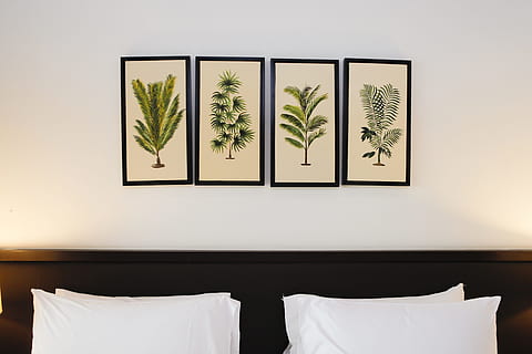 deco, parete, letto, stile, lusso, interno di casa, in casa, interno vetrina casa, moderno, set televisivo, stanza domestica, mobilia, nessuno, pianta, tecnologia, Hotel, tessile, Camera d'albergo, biancheria, cuscino, Camera da letto, natura, ricchezza, schermo piatto, pulito, 5K, CC0, dominio pubblico, privo di copyright