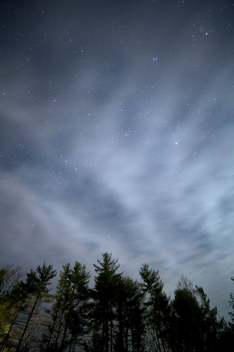 baix, fotografia d'angle, verd, arbres de fulles, cel estrellat, nit, angle baix, fotografia, fulla verda, arbres, negre, blau, núvols, gris, estrelles, astronomia, estrella - espai, cel, naturalesa, galàxia, fosc, espai, constel · lació, Via Làctea, nebulosa, paisatge, planeta - espai, lluna, arbre, vista d’angle baix, cap gent, bellesa a la natura, planta, escenics - natura, tranquil·litat, estrella, escena tranquil·la, camp estel·lar, silueta, núvol - cel, creixement, a l'aire lliure, 4K