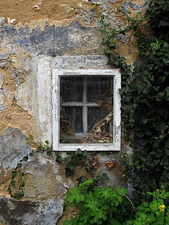 finestra, finestra antiga, marcs de finestres, vell, vidre, finestres de fusta, paret, façana, resistent, brut, trencar, caduc, sortir, trencat, defecte, aixafar, abandonat, transitori, malalt, la fugacitat, pforphoto, estructura construïda, arquitectura, exterior de l'edifici, planta, cap gent, dia, funció de construcció de parets, edifici, creixement, naturalesa, a l'aire lliure, sòlid, casa, heura, espatllat, paret de pedra, 2K, CC0, domini públic, lliure de regalies
