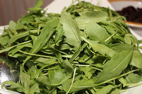 raket, salat, buffet, kold buffet, spise, mad, forret, drage nytte af, måltid, lækker, sund og rask, mad og drikke, velvære, sund kost, friskhed, grøntsag, grøn farve, blad, plante del, grøn, tæt på, ingen mennesker, spinat, indendørs, bladgrøntsager, fokus på forgrunden, rå fødevarer, stilleben, blade, arugula, 5K, CC0, offentligt domæne, royaltyfrie