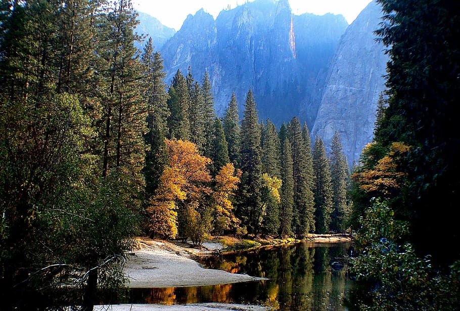 alberi verdi, paesaggio, riflessione, acqua, alberi, montagne, all'aperto, roccia, blu, albero, scogliera, Yosemite, Parco Nazionale, California, Stati Uniti d'America, panoramico, natura, foresta, Paesaggi, bellezza nella natura, montagna, la tranquillità, nessuno, pianta, scena tranquilla, scenics - natura, crescita, scena non urbana, lago, idilliaco, terra, giorno, colore verde, modificare, Pino, albero di conifere, 1080P