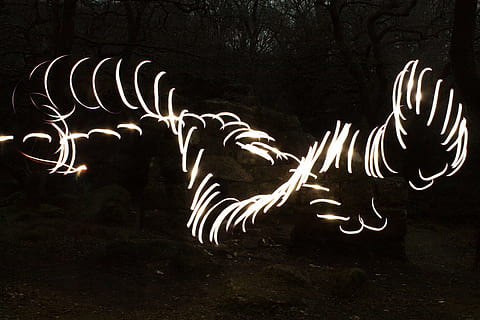 Lighttrail, Licht, Nacht-, dunkel, hell, Exposition, Bewegung, verwischen, Dämmerung, verschwommen, Kunst und Handwerk, Kreativität, Lichtmalerei, beleuchtet, Langzeitbelichtung, keine Leute, Baum, Natur, Tier, Tierdarstellung, Kunst, Tierthemen, Tierwelt, Säugetier, glühend, Lichtspur, Darstellung, draußen, 4K, CC0, gemeinfrei, lizenzfrei