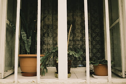 tre, Brun, gryder, grøn, planter, lit, værelse, bag, balustre, gryde, metal bar, barer, vindue, vindueskarm, plantepotte, farve, årgang, baggrund, ingen mennesker, plante, vækst, natur, dag, bygget struktur, arkitektur, potteplante, udendørs, træ, murbygningsfunktion, indgang, dør, bygning, fravær, gardin, sollys, bambus - plante, arkitektoniske kolonne, blomsterkrukke, 5K, CC0, offentligt domæne, royaltyfrie