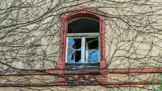 Fenster, Fassade, altes Fenster, Hausfassade, Ziegel, die Architektur, gebaute Struktur, Gebäudehülle, Gebäude, kahler Baum, Baum, Ast, keine Leute, Flachwinkelansicht, Tag, Pflanze, Bogen, Wand, draußen, Natur, Ziegelwand, Backstein, alt, Geschichte, Fensterrahmen, 5K, CC0, gemeinfrei, lizenzfrei
