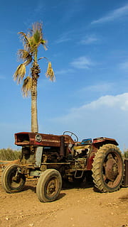 traktor, gammel, rusten, alderen, landbrug, maskine, landdistrikterne, landskabet, cypern, himmel, transportmidler, natur, dag, land køretøj, jord, landbrugsmaskiner, træ, transportform, Mark, plante, Palme træ, sky - himmel, landbrugsudstyr, tropisk klima, ingen mennesker, udendørs, sollys, hjul, 4K, CC0, offentligt domæne, royaltyfrie
