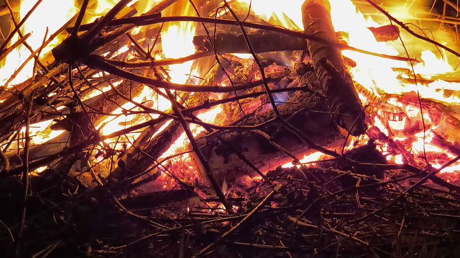 ild, flamme, påske brand, ild, træ, mærke, ild, flamme, træ, træ brand, brænde, lejrbål, smuk, tæt, flamme pejs, gløder, afdeling, ingen mennesker, udendørs, dag, natur, brænding, brand - naturligt fænomen, varme - temperatur, bål, plante, træ - materiale, tæt på, blad, Camping, mad, plante del, blade, 4K
