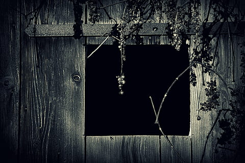abandoned, barn, black and white, board, dark, dirty, grapes, iron, margin, old, panel, retro, rust, rustic, rusty, texture, vintage, wall, window, wood, wooden, wood - material, no people, architecture, built structure, entrance, door, tree, day, wall - building feature, plant, building, weathered, outdoors, building exterior, nature, close-up, hanging, house, 5K, CC0, public domain, royalty free