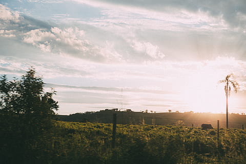 light, dawn, sky, sunset, backlit, clouds, daylight, field, fog, grass, outdoors, silhouette, sunrise, tree, plant, cloud - sky, landscape, environment, nature, beauty in nature, tranquility, no people, tranquil scene, sunlight, scenics - nature, sun, idyllic, land, non-urban scene, 5K, CC0, public domain, royalty free