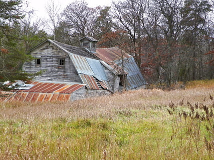 Scheune, rustikal, fallen, Scheunenholz, alt, Jahrgang, Holz, Land, Rau, Bauernhof, verwittert, Pflanze, Baum, die Architektur, gebaute Struktur, Gras, Gebäudehülle, Feld, keine Leute, Tag, Natur, Haus, Wachstum, Gebäude, Himmel, kahler Baum, verlassen, Landschaft, draußen, ländliche Szene, 4K, CC0, gemeinfrei, lizenzfrei