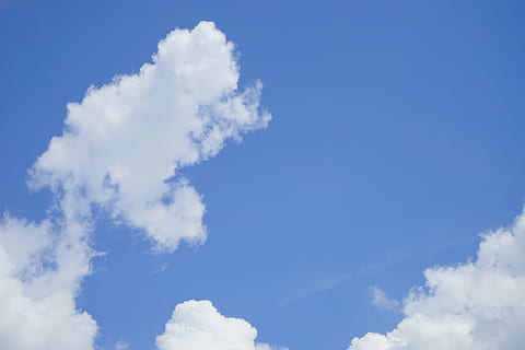 nori, cloudformation, cer, alb, albastru, cumulus, forme de nori, nor de buchet de, cumulus nori, vreme, fenomenul meteorologic, atmosfera, fenomen meteorologic, climat, nor - cer, frumusețe în natură, vedere unghiulară joasă, culoare alba, natură, nici o persoana, zi, scenice - natura, liniște, o scenă liniștită, în aer liber, idilic, fundaluri, lumina soarelui, Cloudscape, pufos, moliciune, meteorologie, 5K, CC0, domeniu public, fără drepturi de autor
