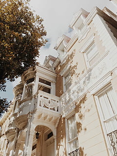 blanco, pintado, hormigón, edificio, árbol, bajo, fotografía de ángulo, edificio de concreto blanco, arquitectura, sombra, estructura construida, vista de ángulo bajo, exterior del edificio, nadie, cielo, naturaleza, planta, día, ventana, historia, el pasado, columna arquitectonica, al aire libre, ciudad, Distrito residencial, característica arquitectónica, destinos de viaje, florido, 2K, CC0, dominio público, libre de derechos