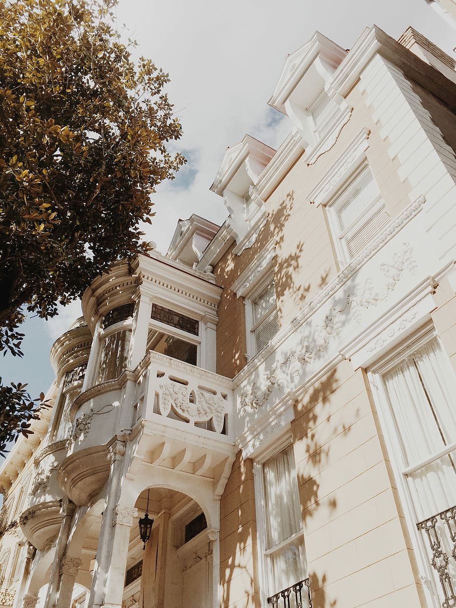 blanco, pintado, hormigón, edificio, árbol, bajo, fotografía de ángulo, edificio de concreto blanco, arquitectura, sombra, estructura construida, vista de ángulo bajo, exterior del edificio, nadie, cielo, naturaleza, planta, día, ventana, historia, el pasado, columna arquitectonica, al aire libre, ciudad, Distrito residencial, característica arquitectónica, destinos de viaje, florido, 2K