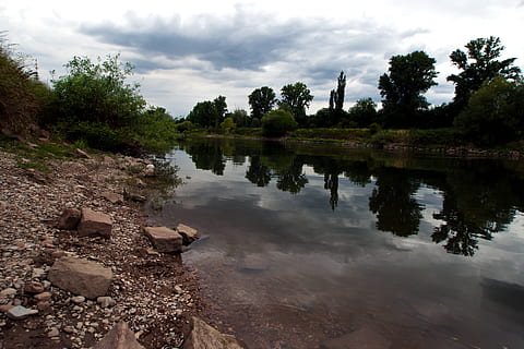 mannheim, neckar, water reflection, water, reflection, tree, sky, cloud - sky, plant, lake, tranquility, scenics - nature, beauty in nature, tranquil scene, nature, no people, non-urban scene, day, growth, outdoors, land, 2K, CC0, public domain, royalty free