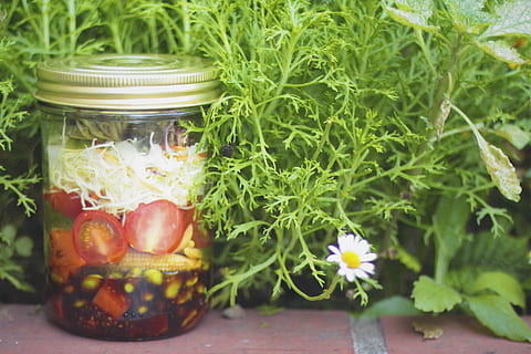 infusert eddikflaske, infused, eddik, flaske, krukke, natur, grønn farge, mat, blomst, anlegg, sommer, grønnsak, spise sunt, ingen folk, mat og Drikke, friskhet, velvære, nærbilde, vekst, container, frukt, glass - materiale, innendørs, gjennomsiktig, plante del, stilleben, vegetarisk mat, 1080P, CC0, offentlig domene, opphavsrett gratis